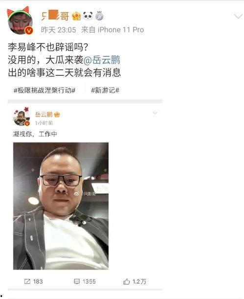 娱乐圈辟谣吃瓜,揭秘那些年被误传的“吃瓜”真相